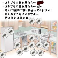 KILLING BAIT3袋セット